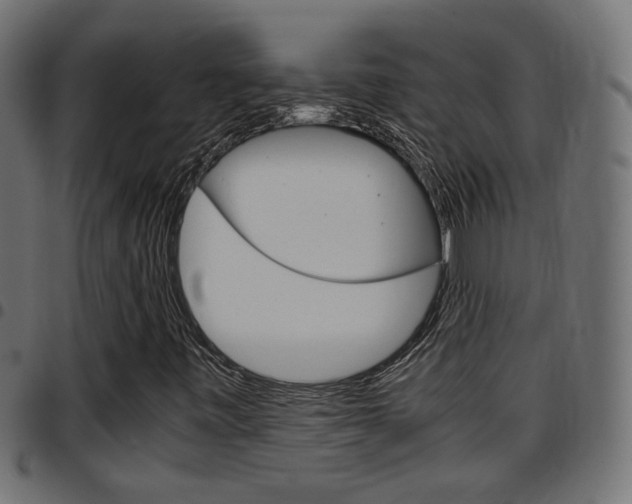 X0000097781443200803070903