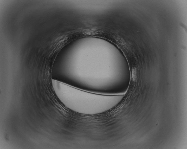 X0000097781444200803070903