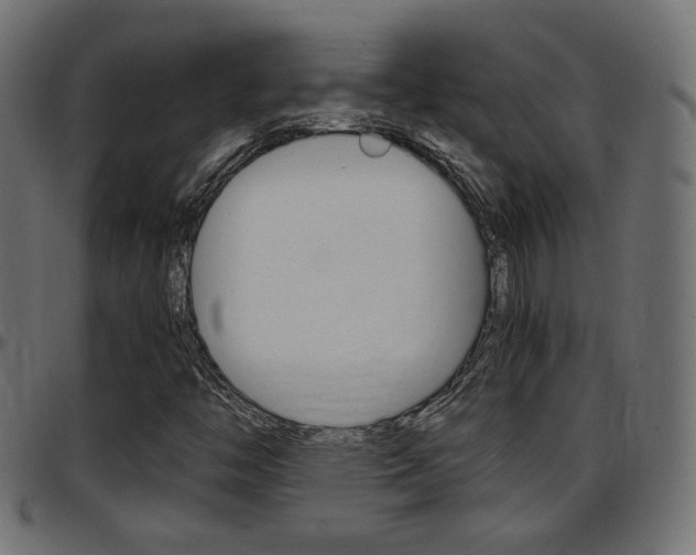 X0000097781446200803070903