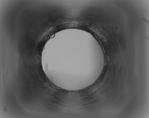X0000097781447200803070903
