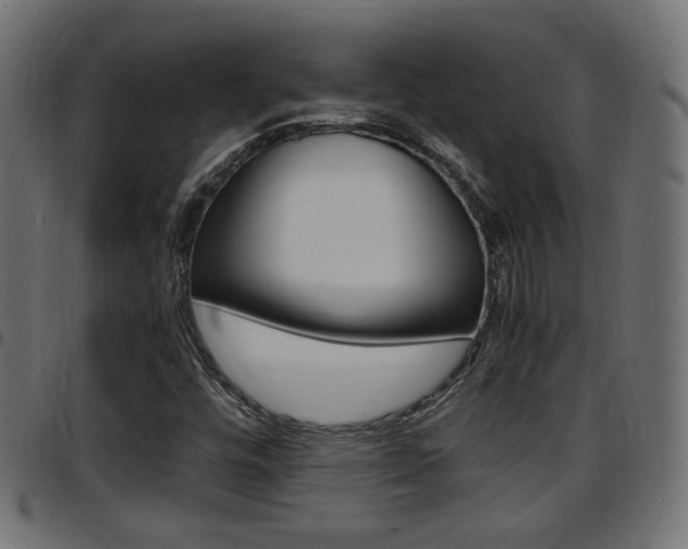 X0000097781448200803070902