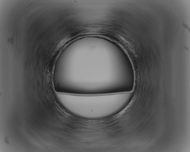 X0000097781449200803070902