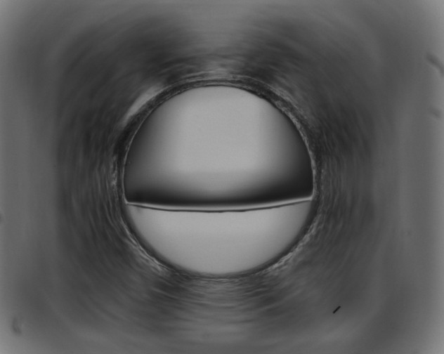 X0000097781450200803070902