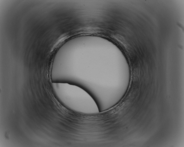 X0000097781451200803070902