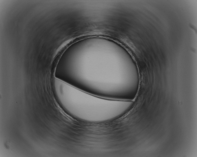 X0000097781452200803070902