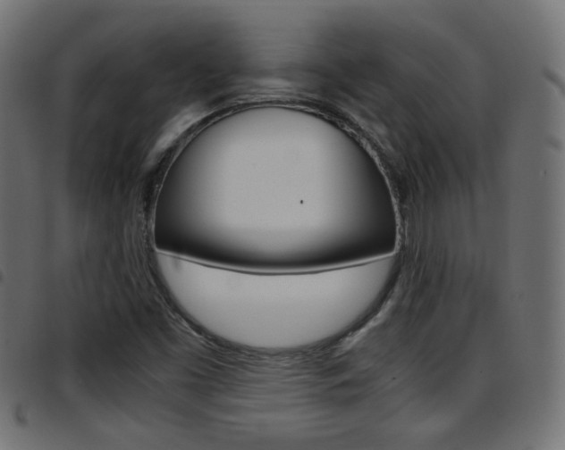 X0000097781453200803070902