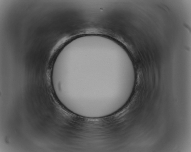 X0000097781454200803070902