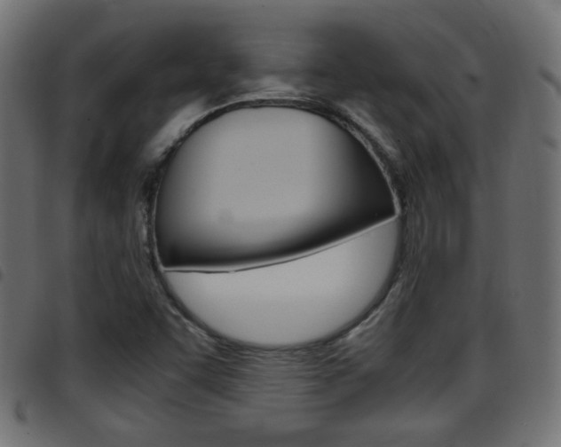 X0000097781455200803070902