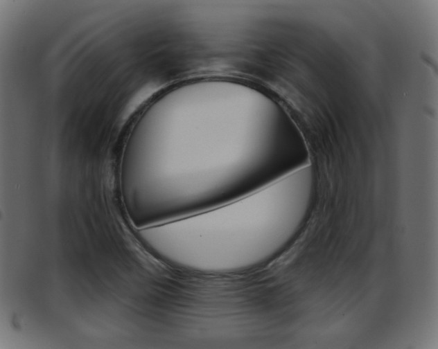 X0000097781458200803070902