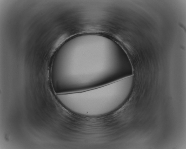 X0000097781459200803070902