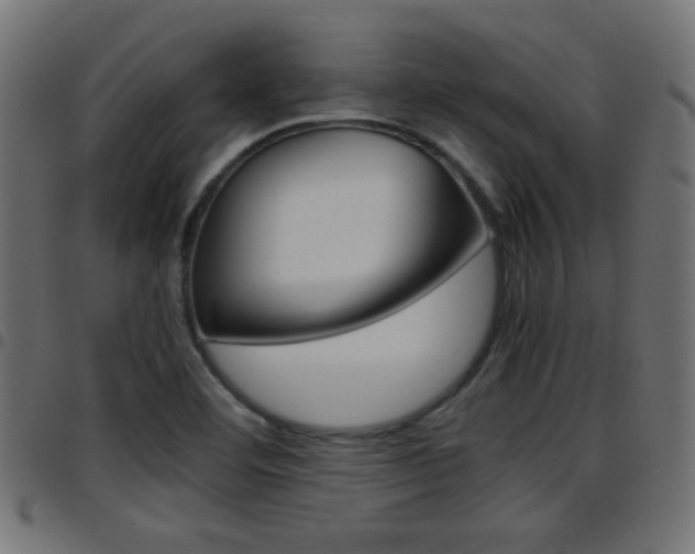 X0000097781460200803070902