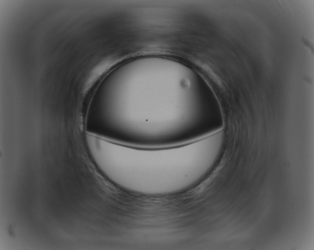X0000097781461200803070902