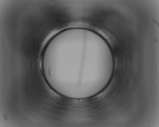 X0000097781462200803070902