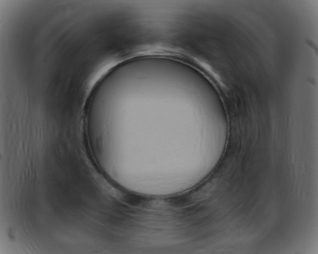 X0000097781463200803070902