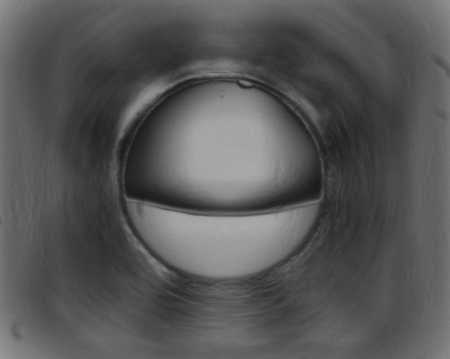 X0000097781464200803070902