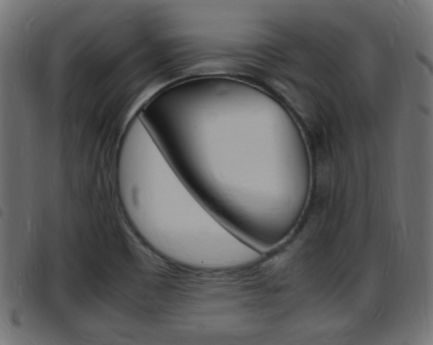 X0000097781465200803070902