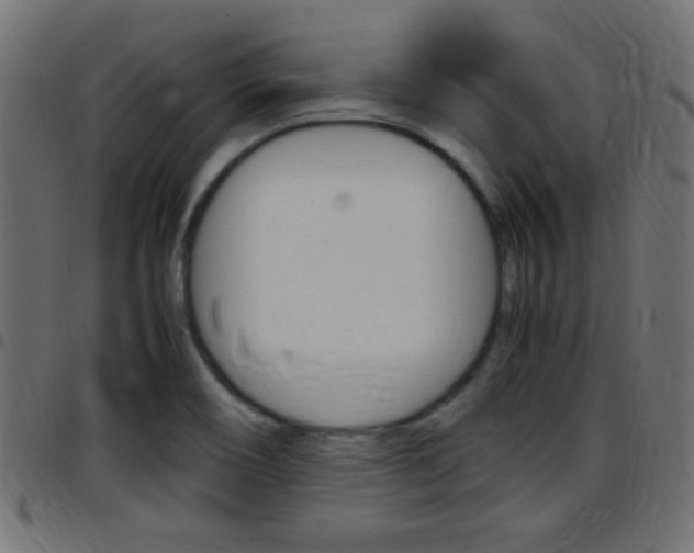 X0000097781466200803070902