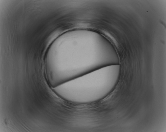 X0000097781467200803070902