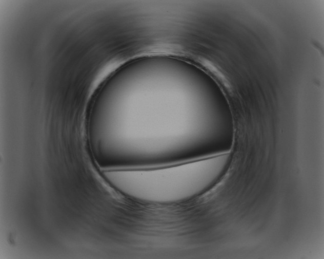 X0000097781469200803070902
