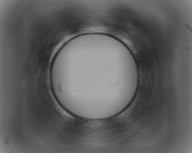 X0000097781470200803070902
