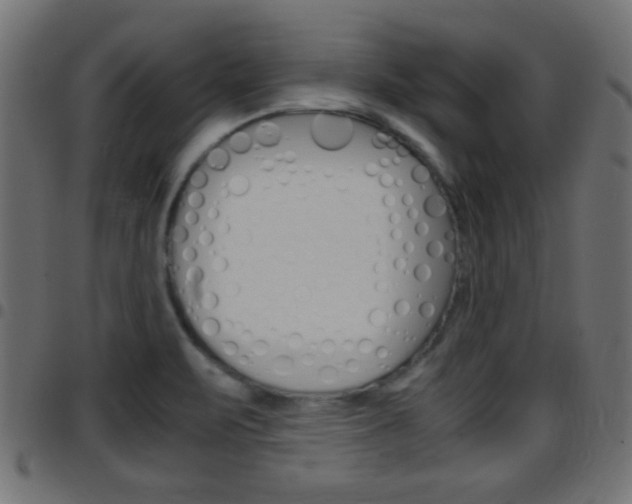 X0000097781471200803070902