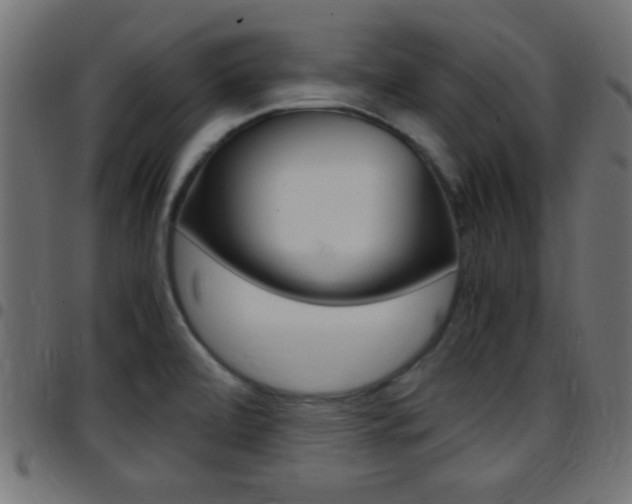 X0000097781472200803070902