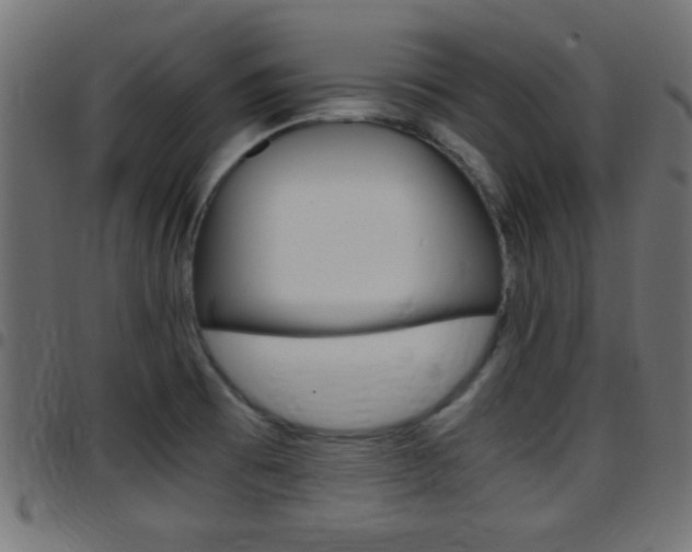 X0000097781473200803070902