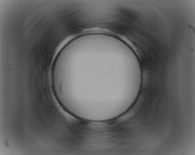 X0000097781474200803070902