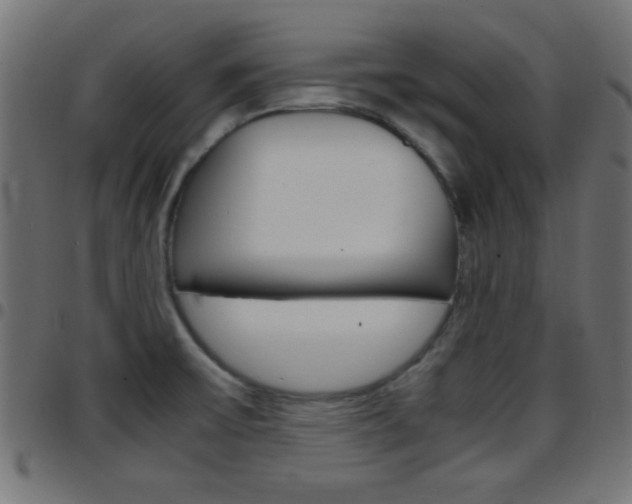 X0000097781475200803070902