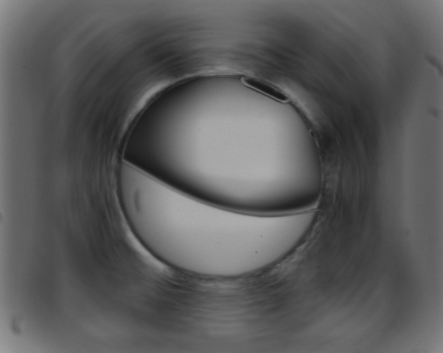 X0000097781476200803070902