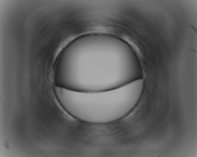 X0000097781477200803070902