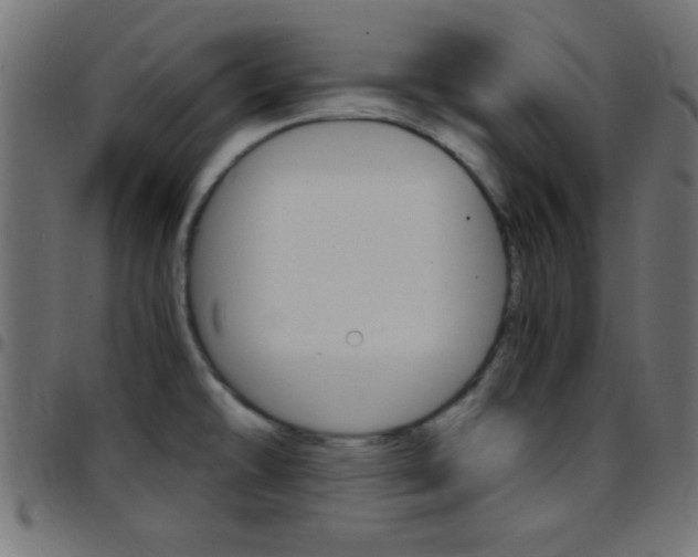 X0000097781478200803070902
