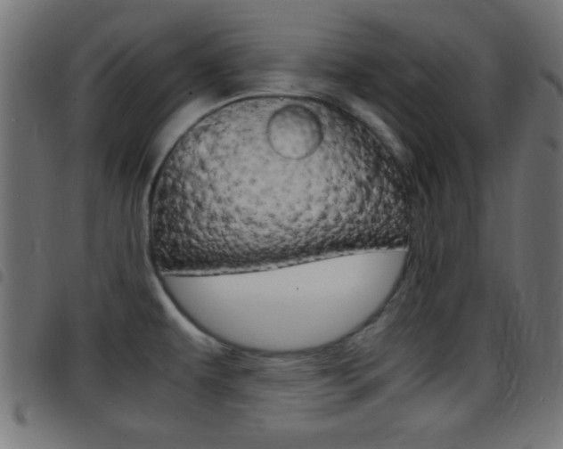 X0000097781479200803070902
