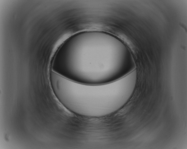 X0000097781480200803070902