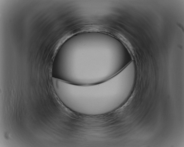 X0000097781481200803070902