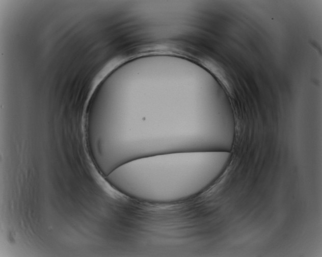X0000097781482200803070902