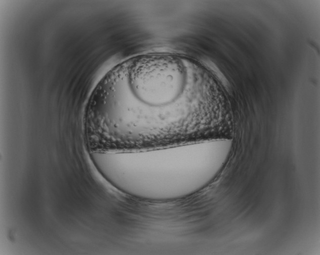 X0000097781483200803070902