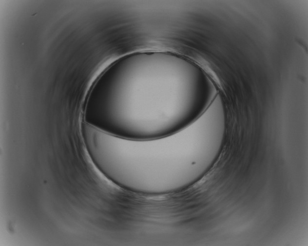 X0000097781484200803070902