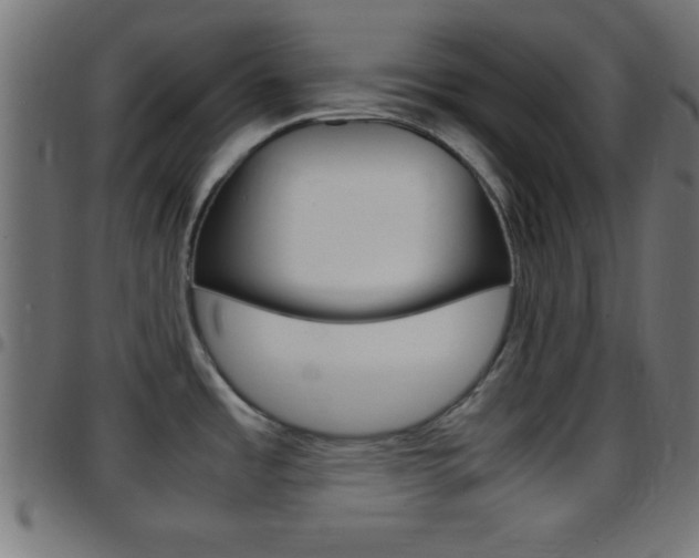 X0000097781485200803070902
