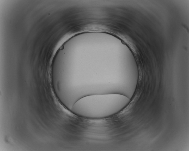 X0000097781486200803070902
