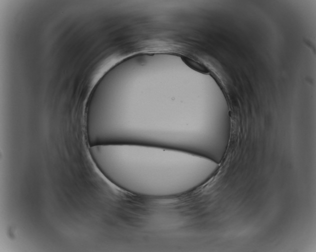 X0000097781487200803070902