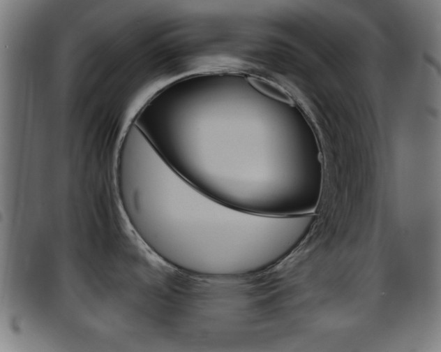 X0000097781488200803070902