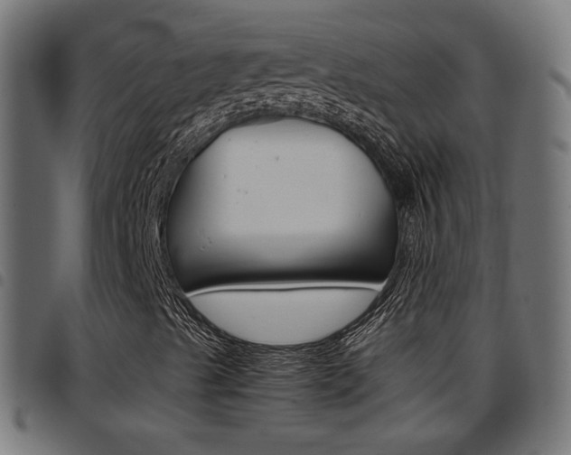 X0000097781489200803070901