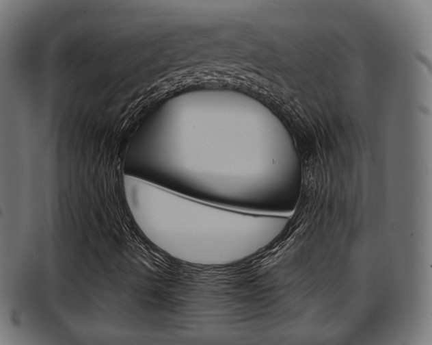 X0000097781490200803070901