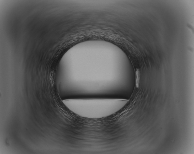 X0000097781491200803070901