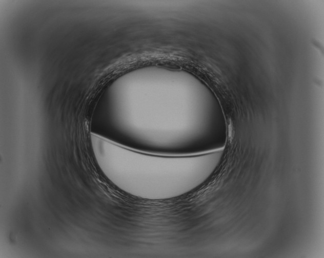 X0000097781492200803070901