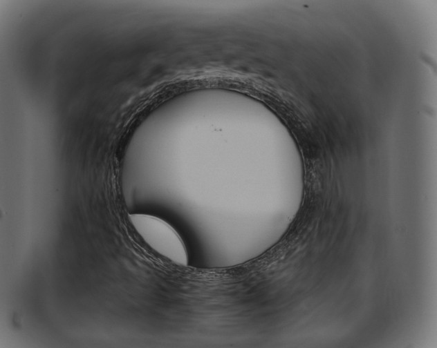 X0000097781493200803070901