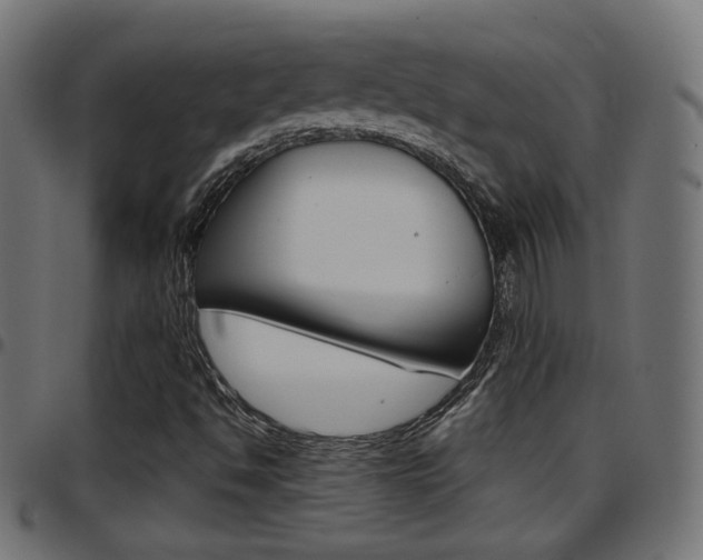 X0000097781494200803070901