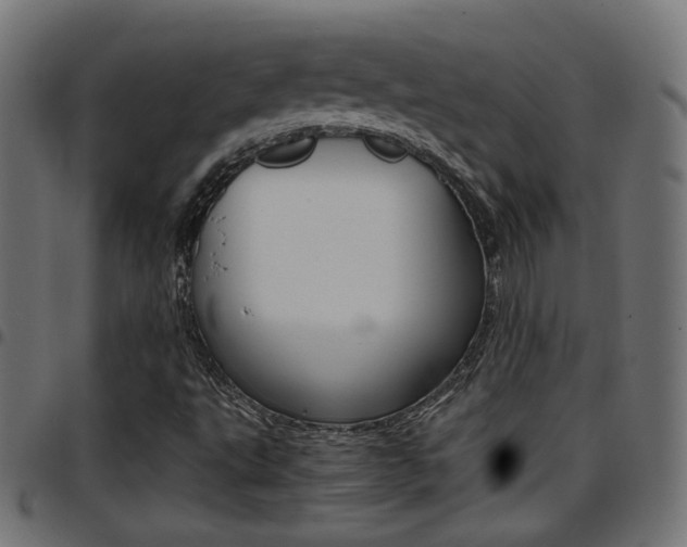 X0000097781495200803070901