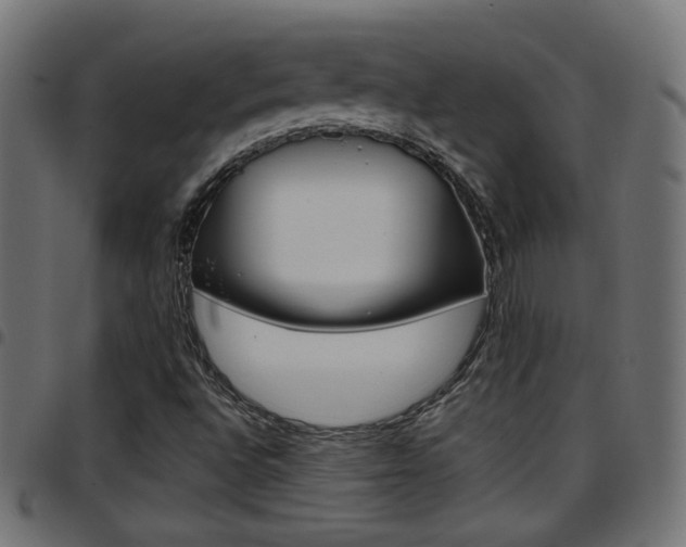 X0000097781496200803070901